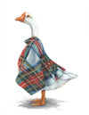 Dame Goose of Glenfinnan (Greeting Card)