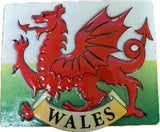 Welsh Dragon on Flag Magnet