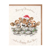 'Christmas Calves' cow Christmas card pack OF 8