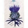 Scott Inness Bramble Thistle Tea Towel