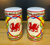 Welsh Dragon Salt & Pepper