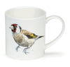 Dunoon Orkney Hannah Longmuir Gold Finch Mug