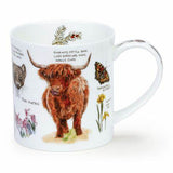 Dunoon Orkney Scottish Notebook Mug Highland Cattle