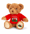 Keel Toys UK Wales Bear 18cm