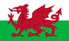 Welsh Dragon Flag 5' X 3'