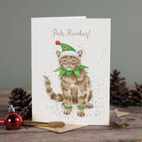 Wrendale 'Bah Humbug!' Cat card